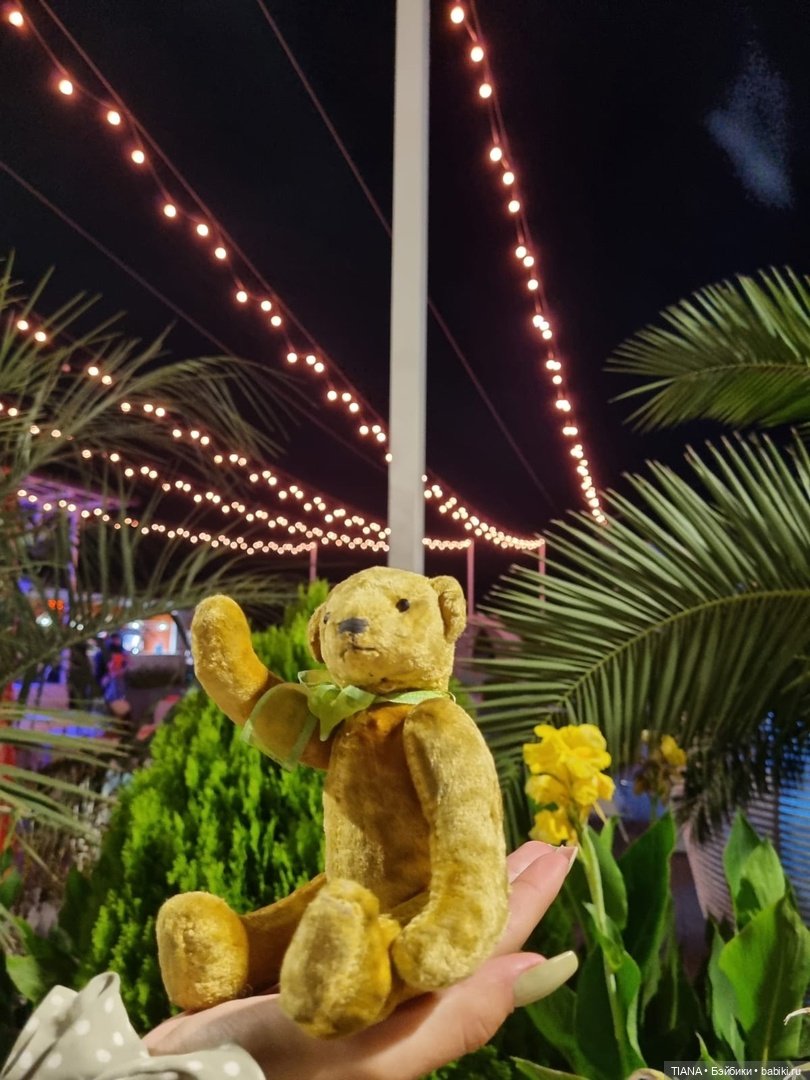 Медведь для дальних поездок (фото 9)