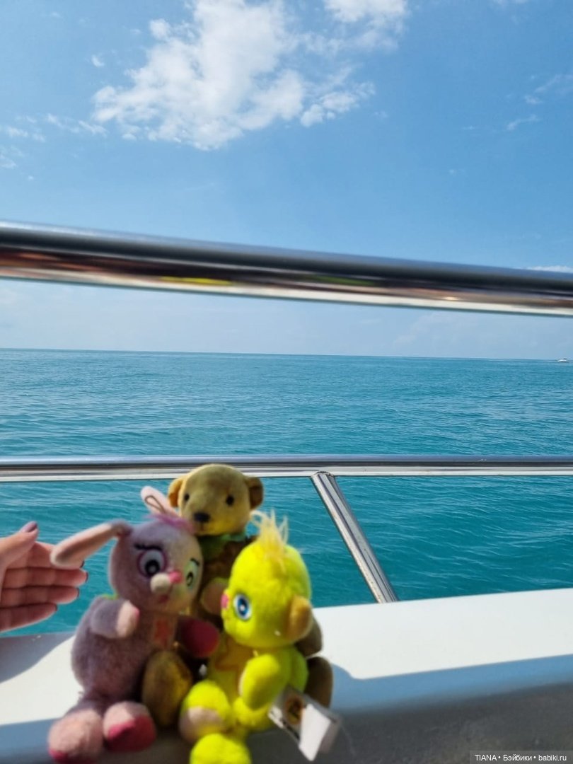 Медведь для дальних поездок