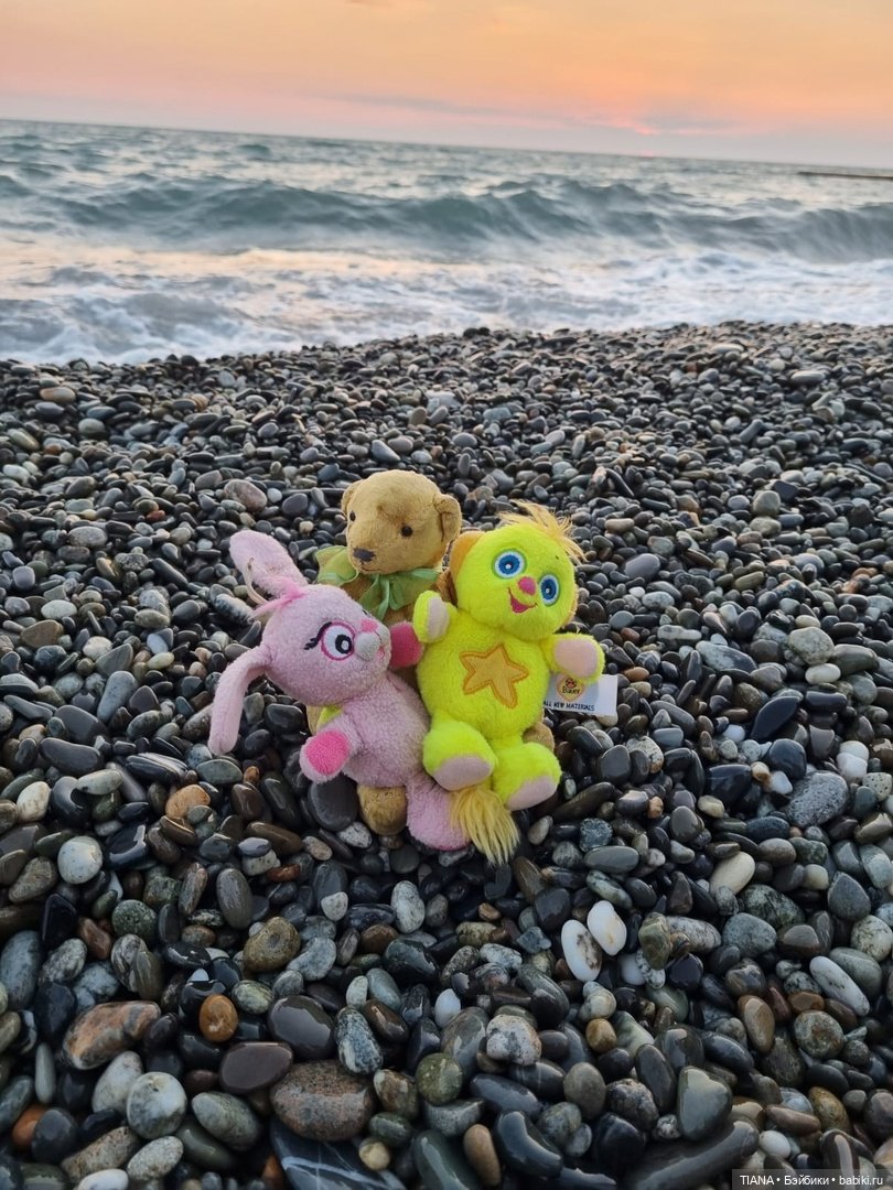 Медведь для дальних поездок