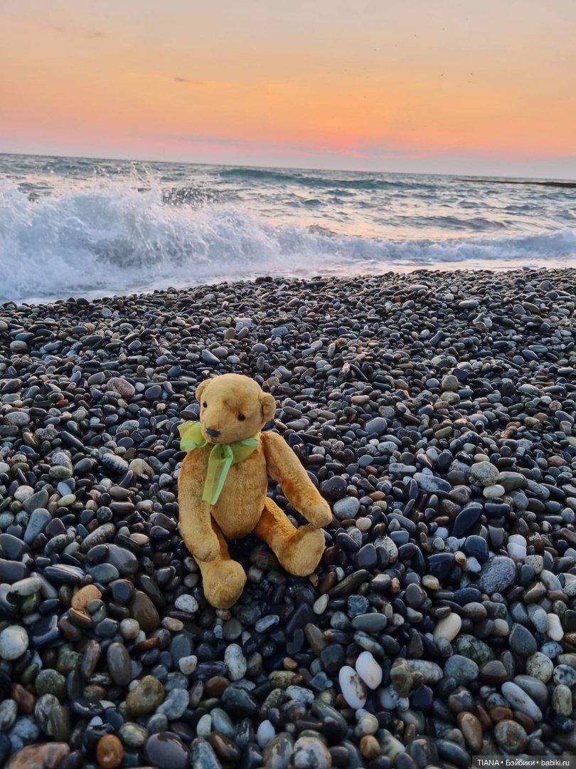 Медведь для дальних поездок (фото 5)