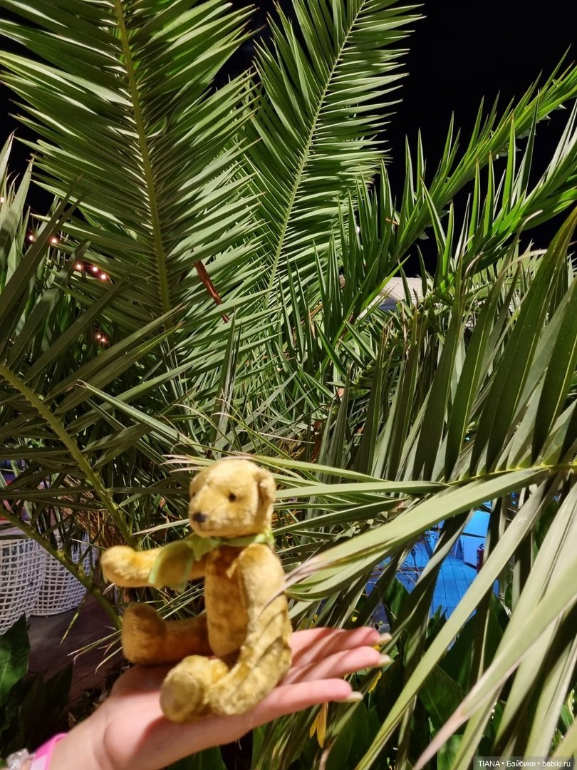 Медведь для дальних поездок