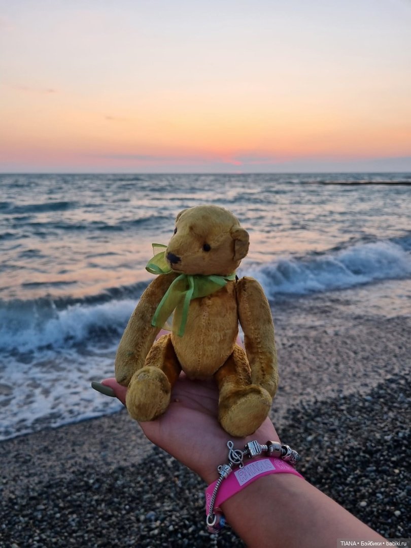 Медведь для дальних поездок (фото 10)