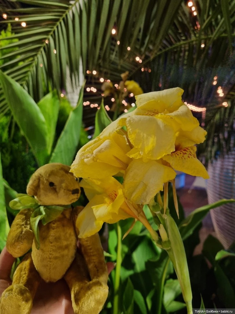 Медведь для дальних поездок