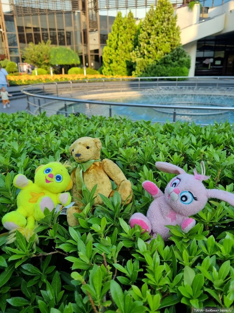 Медведь для дальних поездок (фото 2)