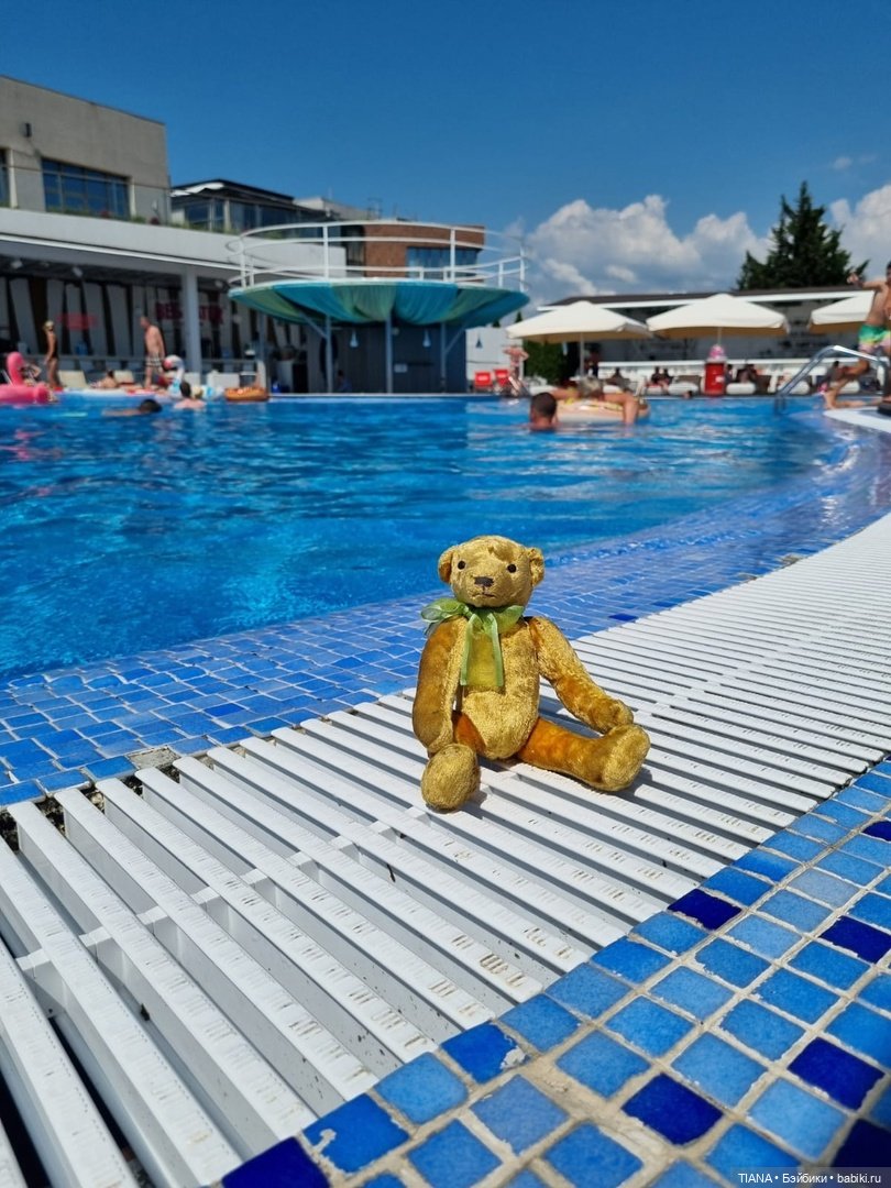 Медведь для дальних поездок (фото 7)