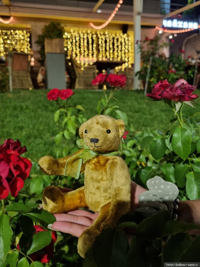 Медведь для дальних поездок (фото 8)