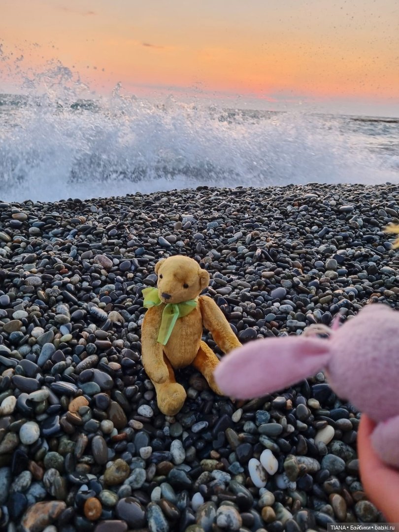 Медведь для дальних поездок