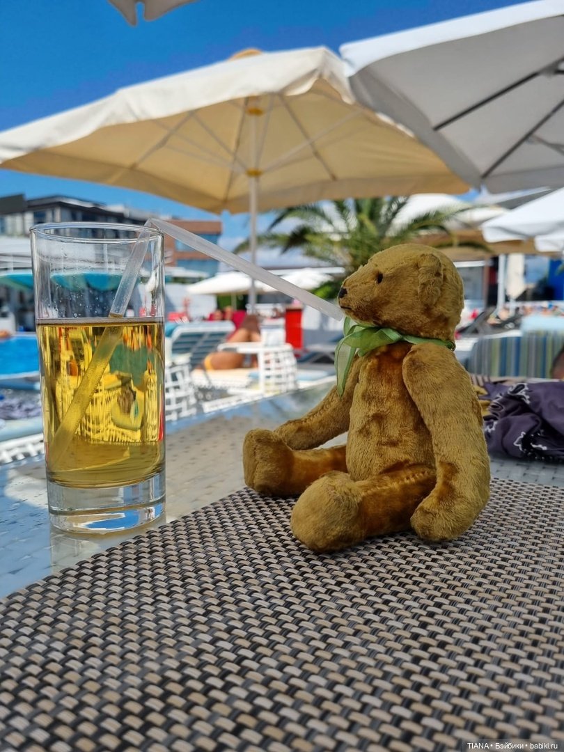 Медведь для дальних поездок