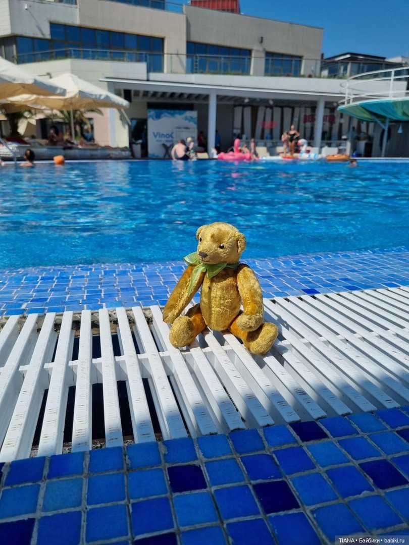 Медведь для дальних поездок (фото 6)