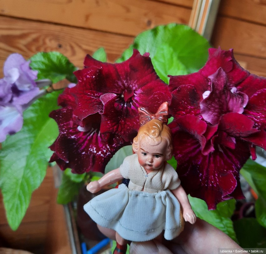 Не Суок,но с бантом🎀🤗 — Редкие антикварные куклы и реплики: воск