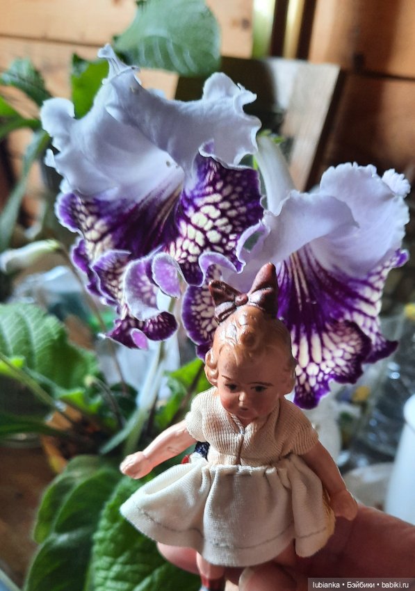 Не Суок,но с бантом🎀🤗 — Редкие антикварные куклы и реплики: воск