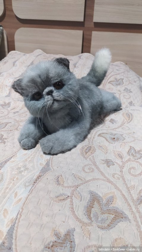 Серый котик-тепленький животик (фото 9)