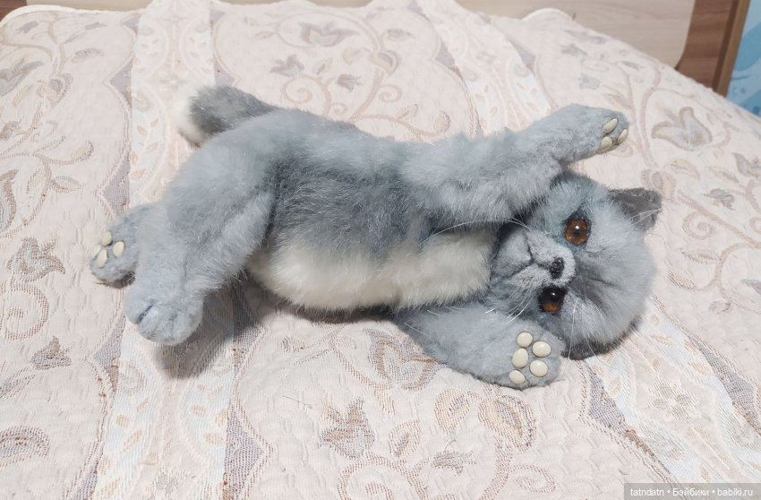 Серый котик-тепленький животик (фото 5)