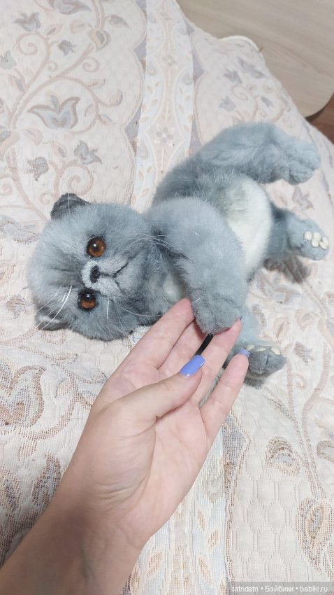 Серый котик-тепленький животик (фото 2)