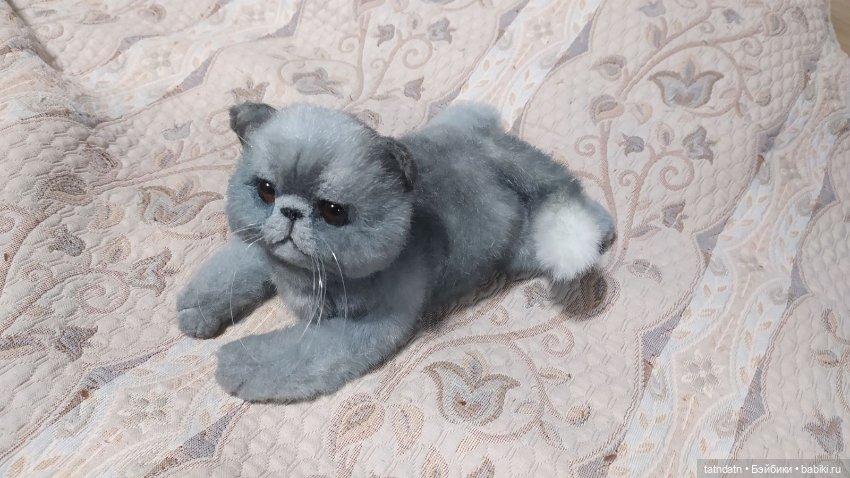 Серый котик-тепленький животик (фото 10)