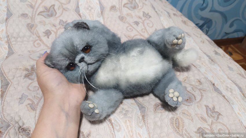 Серый котик-тепленький животик (фото 7)