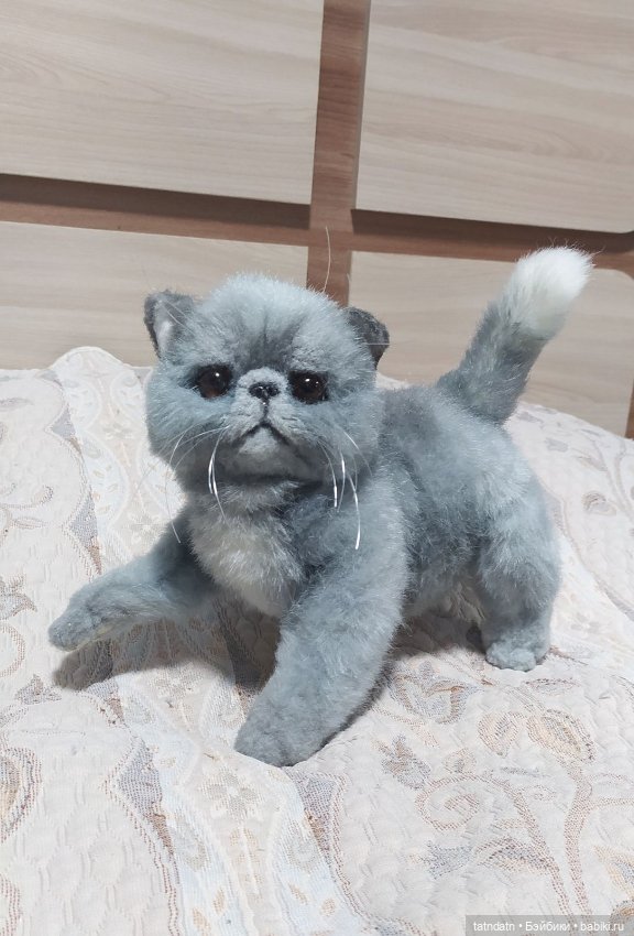 Серый котик-тепленький животик (фото 6)