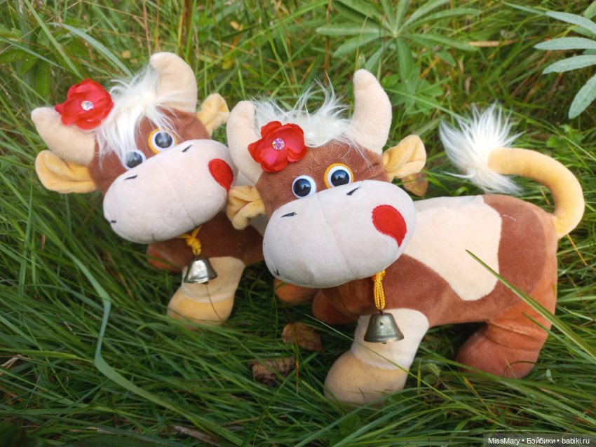 Весёлые картинки. "Зорька и Красуля" (фото 2)