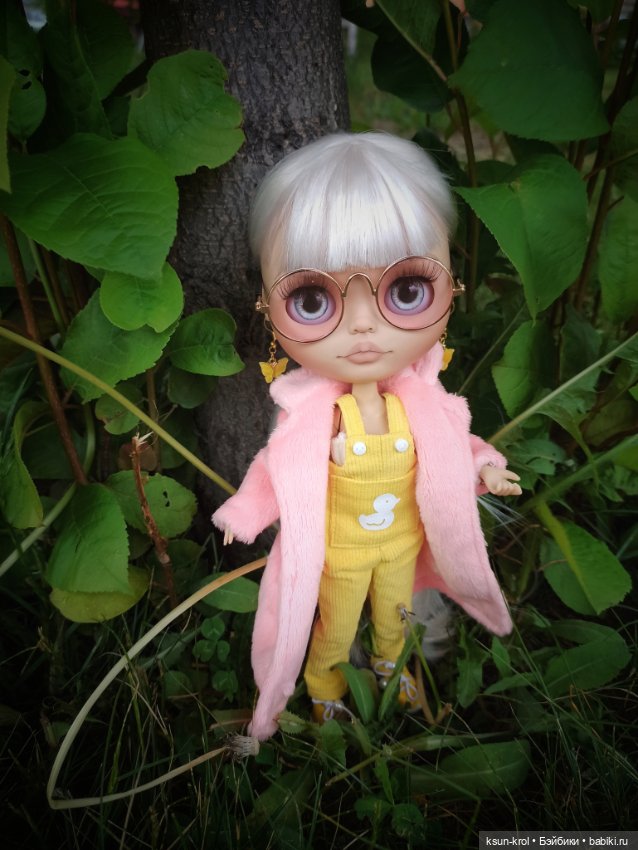 Малышки Блайз. Часть 3 — Разные шарнирные куклы (не БЖД): редкие (фото 6)
