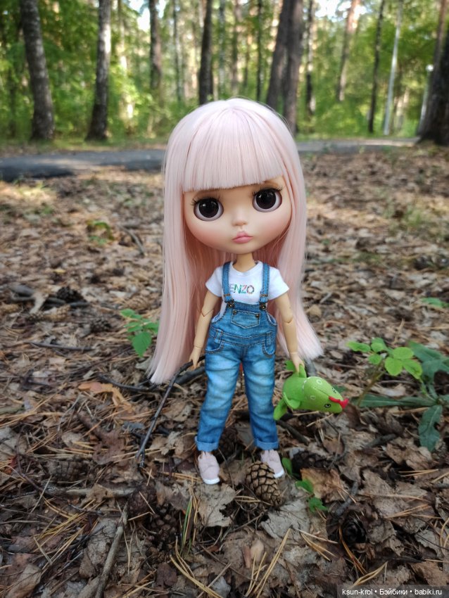 Малышки Блайз. Часть 3 — Разные шарнирные куклы (не БЖД): редкие