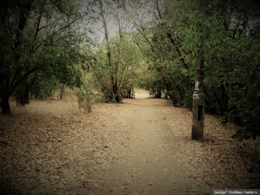 Последний летний вечер, когда ты шаман (фото 2)