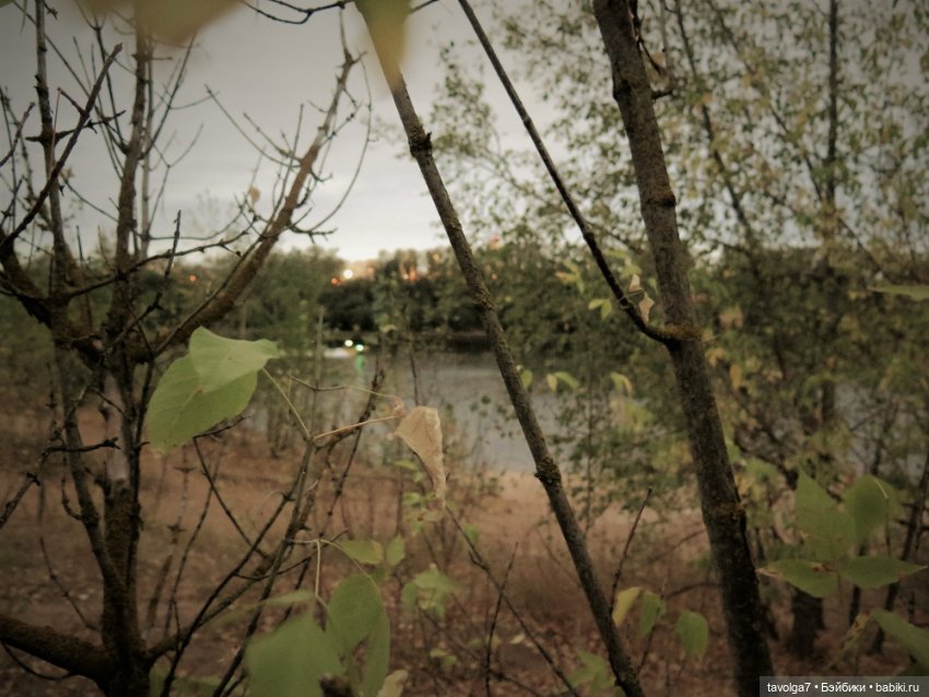 Последний летний вечер, когда ты шаман (фото 6)