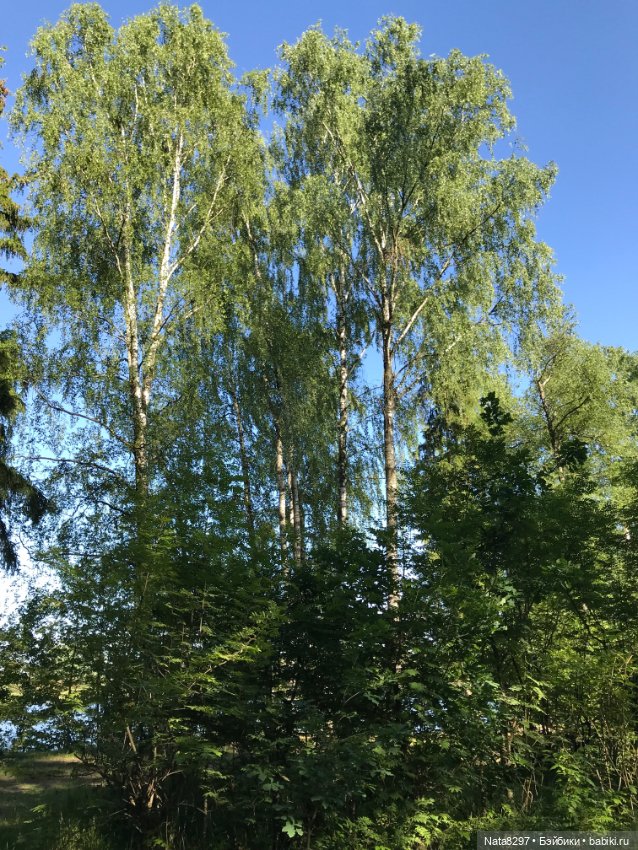 Девочка из сказки. Магда от Heidi Plusczok