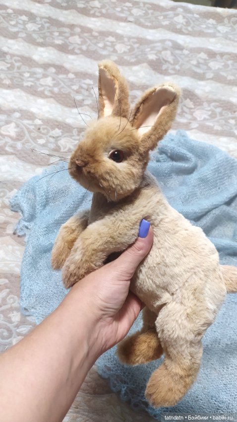 Кролики- это не только..., но и сплошная ми-ми-мишность