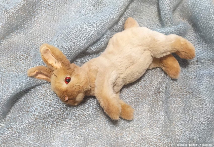 Кролики- это не только..., но и сплошная ми-ми-мишность