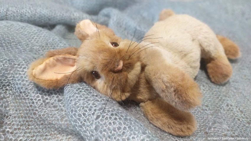 Кролики- это не только..., но и сплошная ми-ми-мишность (фото 5)