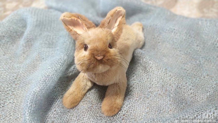 Кролики- это не только..., но и сплошная ми-ми-мишность (фото 4)