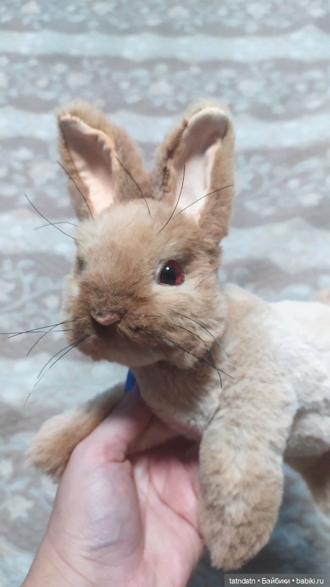 Кролики- это не только..., но и сплошная ми-ми-мишность