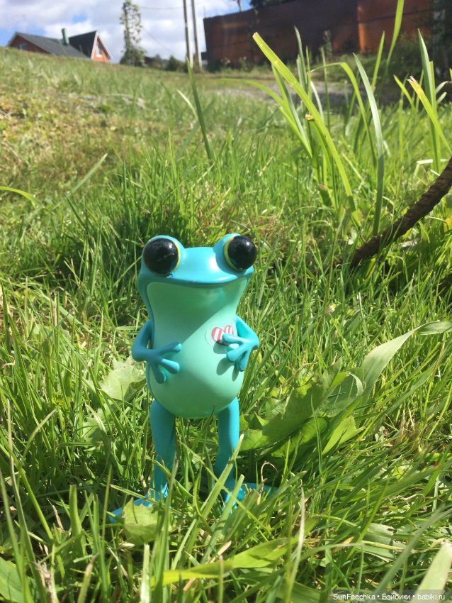 Apo frogs Маркус. Осенние денечки (фото 4)