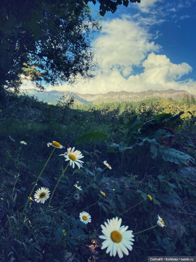 Фёкла — Куклы Milim Studio (Милим): российские БЖД