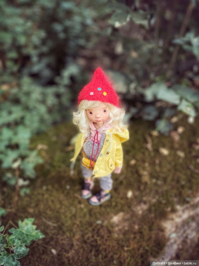 Осенняя Фасоль — Куклы Tafidolls (Татьяна Филенко): российские BJD (БЖД) (фото 5)