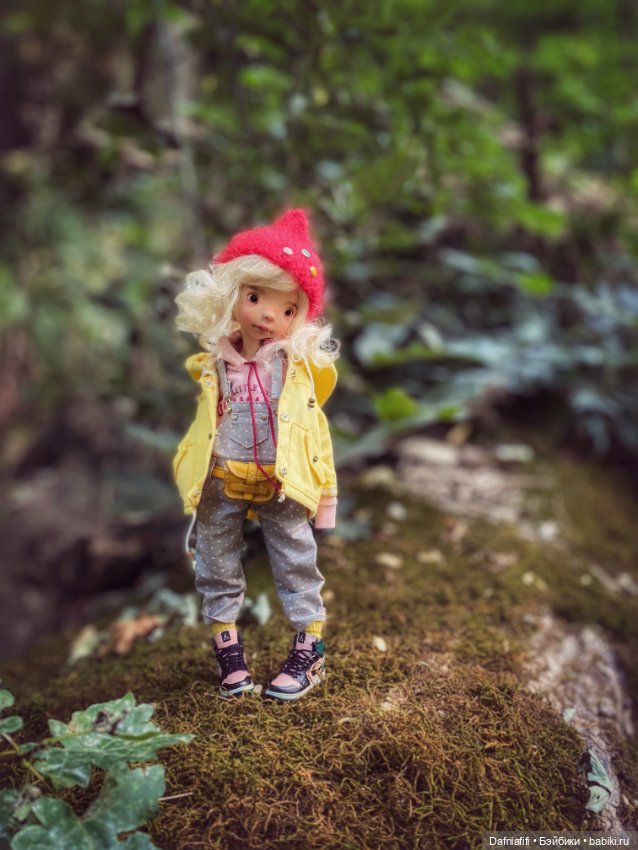 Осенняя Фасоль — Куклы Tafidolls (Татьяна Филенко): российские BJD (БЖД) (фото 4)