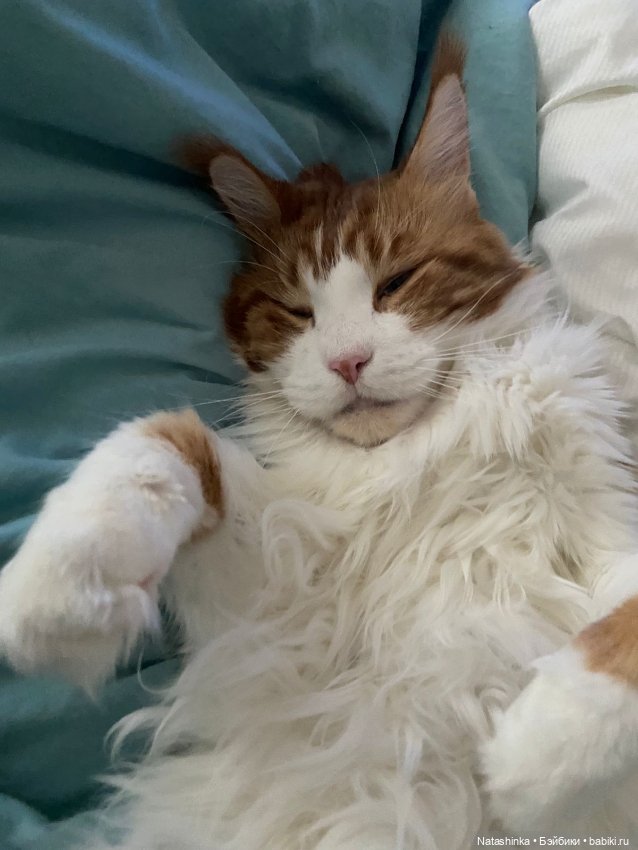 Fashìon Dolls 409 — Туризм и путешествия: фотоотчеты из поездок