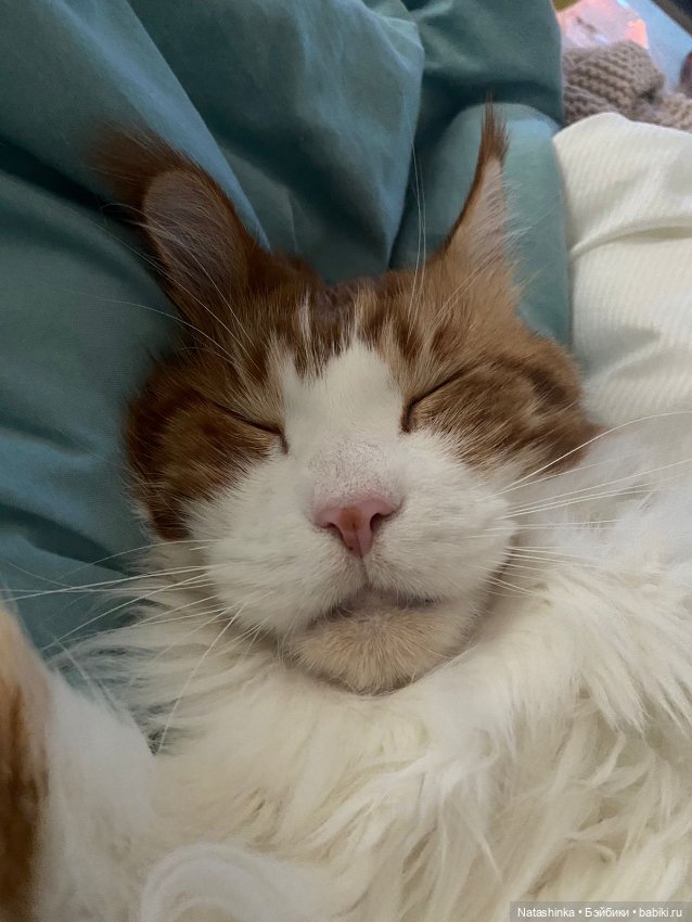 Fashìon Dolls 409 — Туризм и путешествия: фотоотчеты из поездок