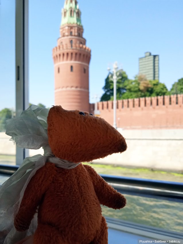 Прогулка на теплоходе по центру. Лис Люк (фото 2)