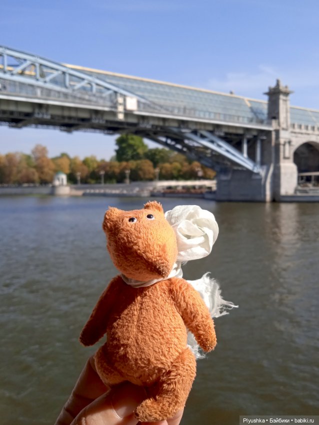 Прогулка на теплоходе по центру. Лис Люк (фото 6)