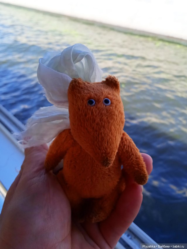 Прогулка на теплоходе по центру. Лис Люк (фото 3)