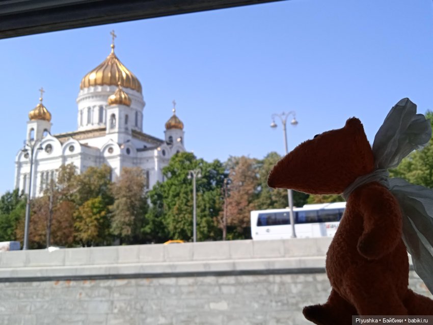 Прогулка на теплоходе по центру. Лис Люк (фото 4)