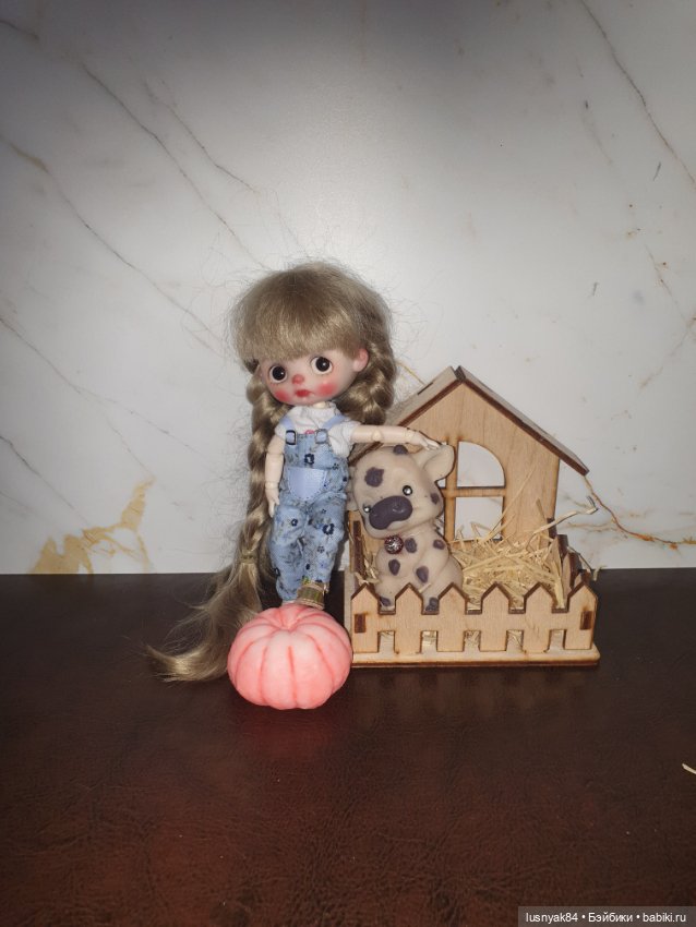 Мандаринка 🍊 — Куклы и тела Obitsu 11 (Ob11): гибриды