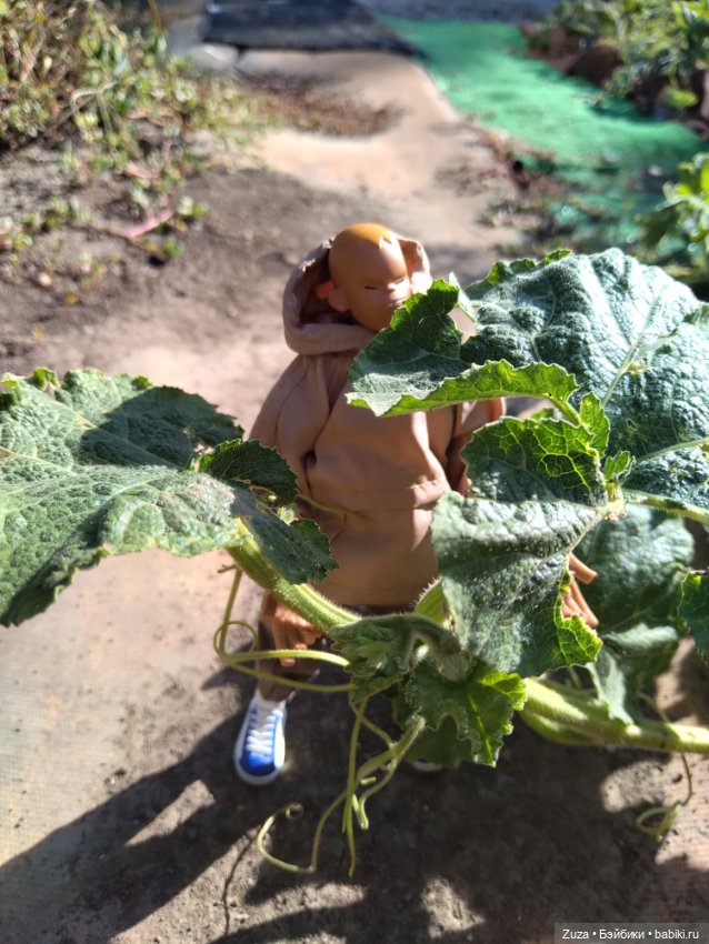 Парнишка на даче — Разные шарнирные куклы (не БЖД): редкие (фото 6)