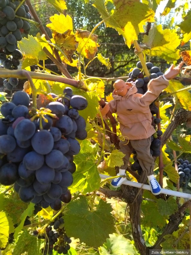 Парнишка на даче — Разные шарнирные куклы (не БЖД): редкие (фото 5)