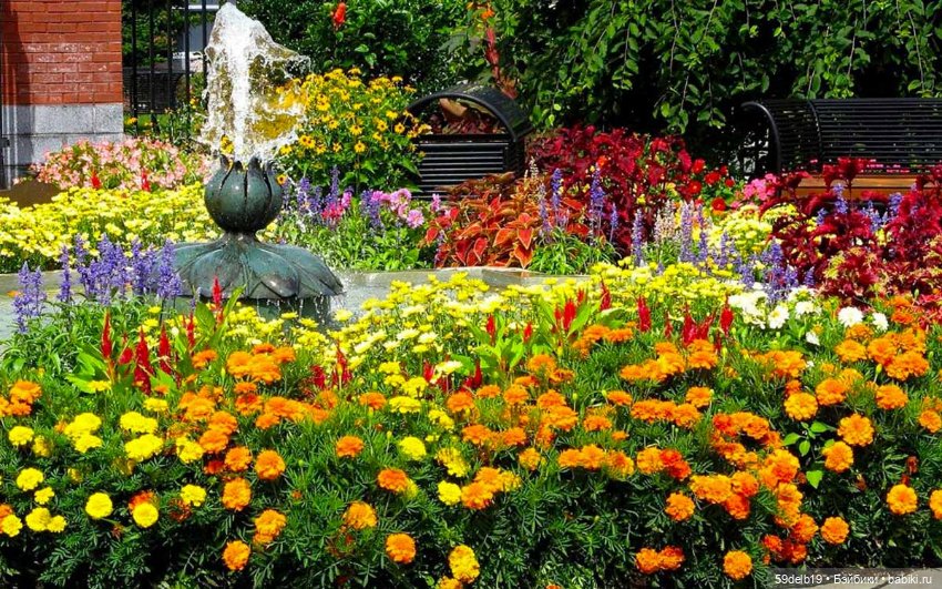 Бархатцы - осенние цветы — Одежда и обувь для кукол своими руками: фото (фото 6)