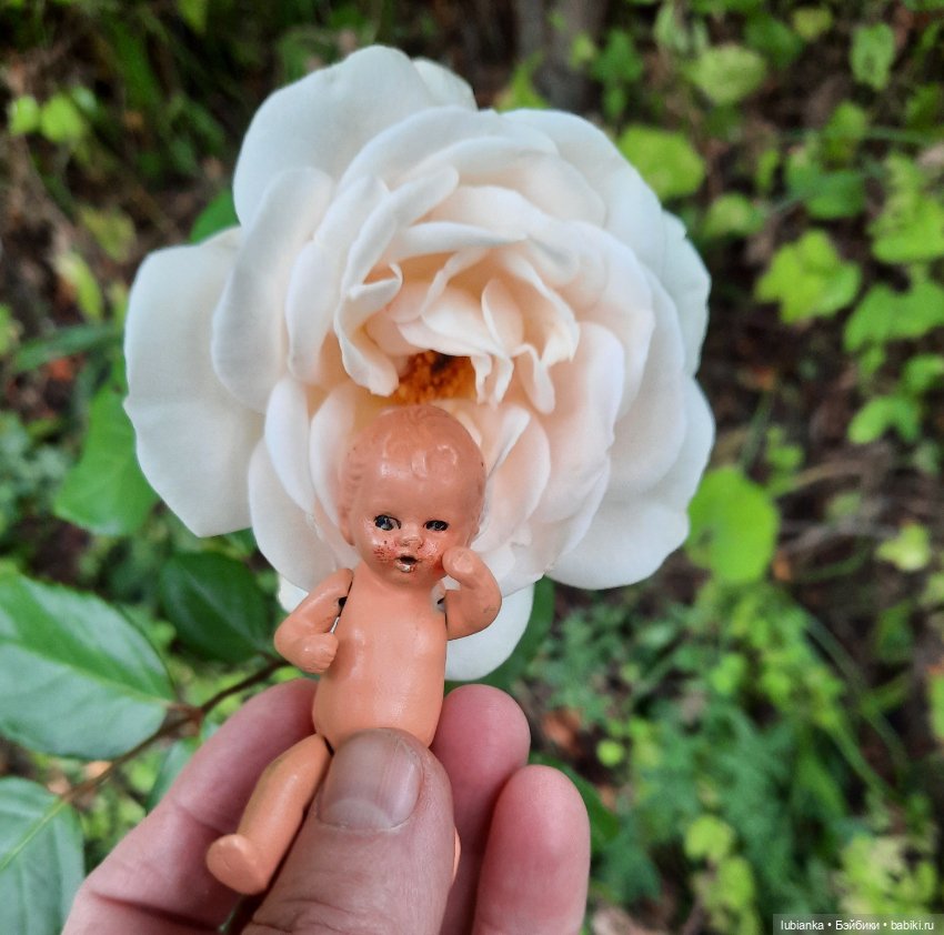 Хертвижонок Next — Винтажные куклы ГДР (Немки): Бигги (фото 6)