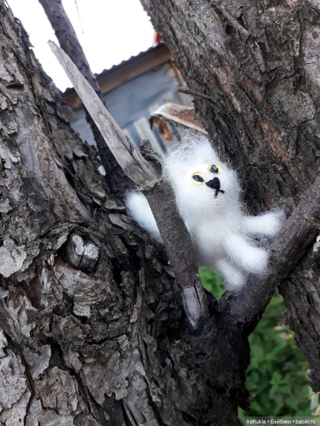 Котики"обормотики" — Вязаные игрушки и амигуруми: крючком (фото 6)