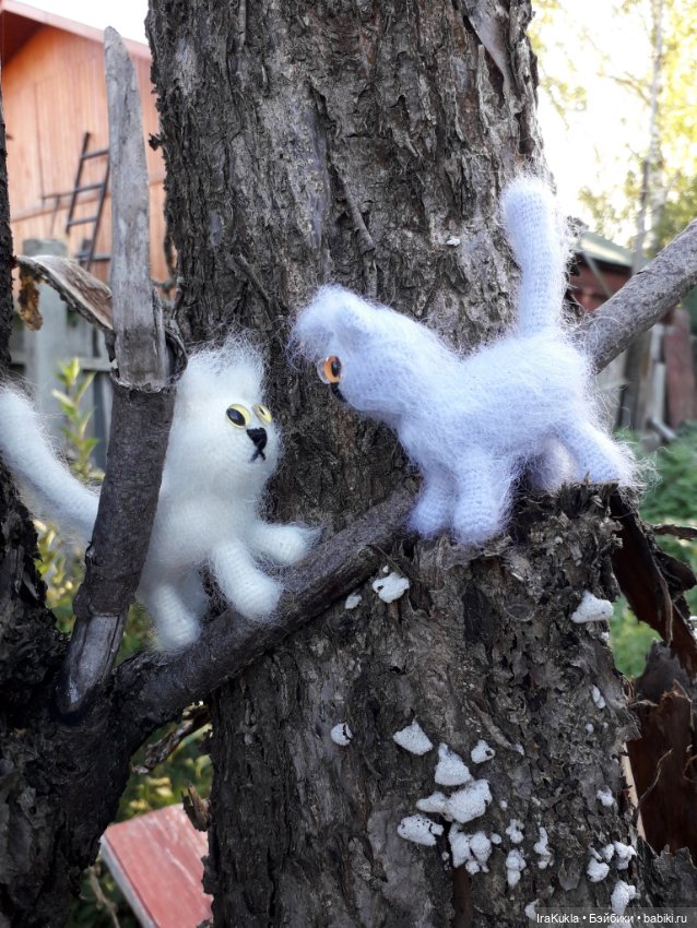 Котики"обормотики" — Вязаные игрушки и амигуруми: крючком (фото 7)