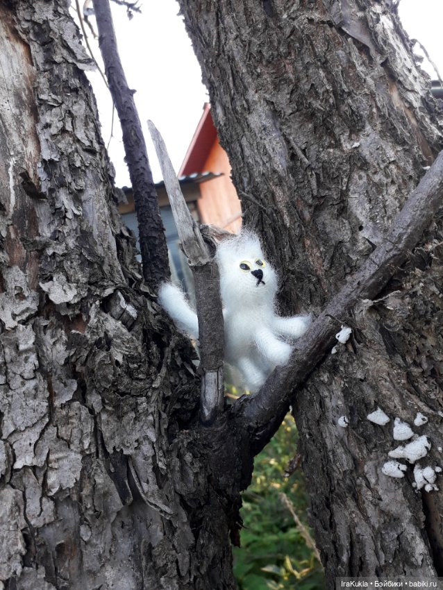 Котики"обормотики" — Вязаные игрушки и амигуруми: крючком (фото 5)